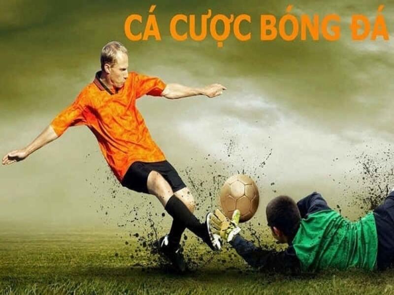 ca cuoc bong da 2 Mua vé tại sảnh và đặt cược