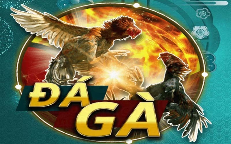 Đá gà trực tuyến