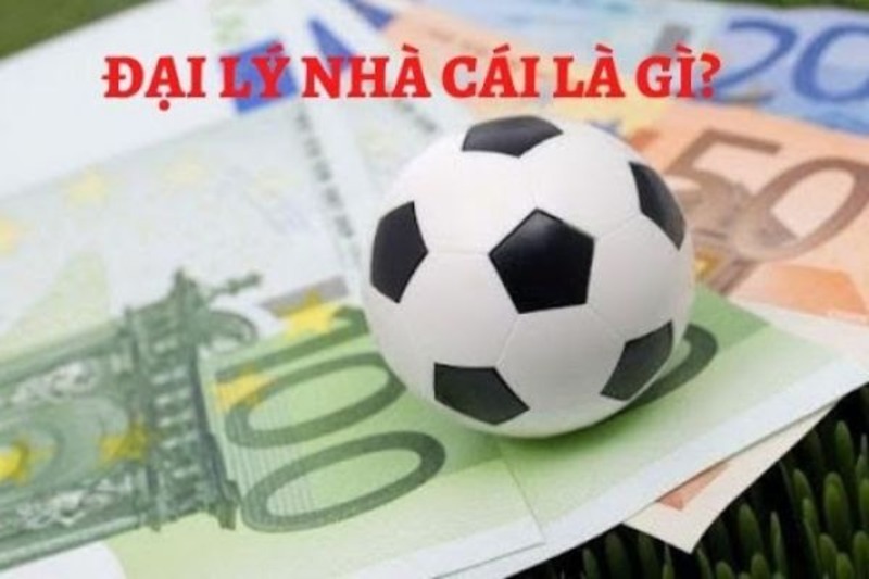 dai ly vinbet Tổng quan về nhà cái cá cược trực tuyến Vinbet