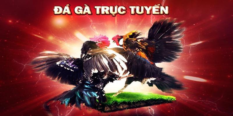 game da ga online 2 Game đá gà
