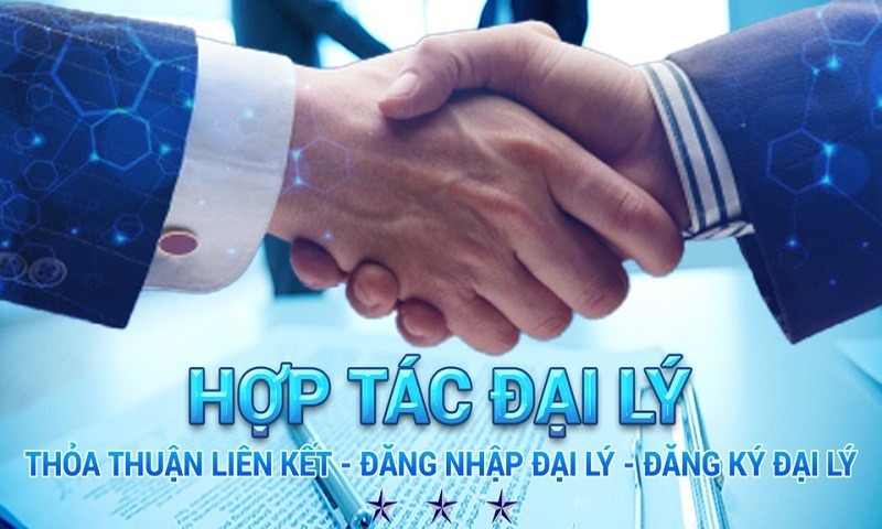quy dinh lam dai ly vinbet Được hợp tác với nhiều đối tác