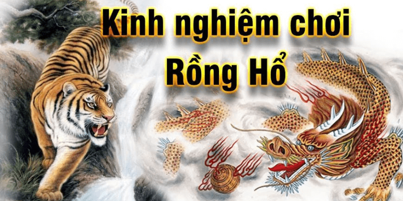 rong ho 1 Hướng dẫn anh em chơi game bài Rồng Hổ chi tiết dễ thắng