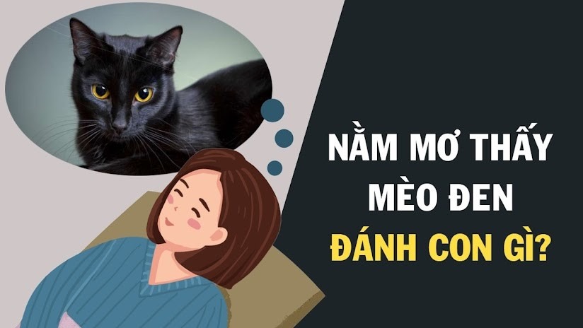 so mo lo de cac con vat 5 Con mèo đánh con gì chuẩn xác nhất